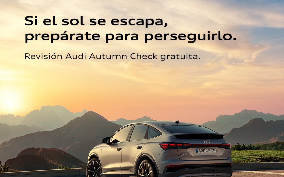 Revisión Audi Autumm Check